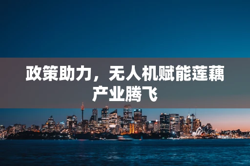 政策助力，无人机赋能莲藕产业腾飞