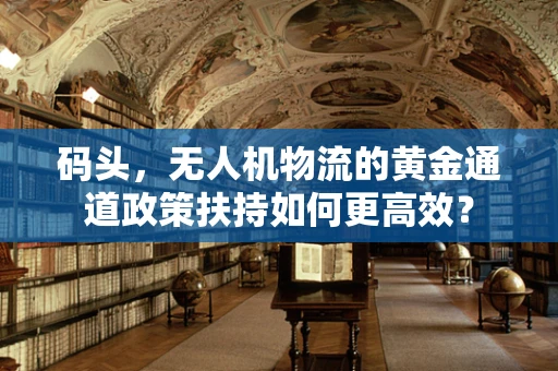 码头，无人机物流的黄金通道政策扶持如何更高效？