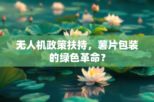 无人机政策扶持，薯片包装的绿色革命？