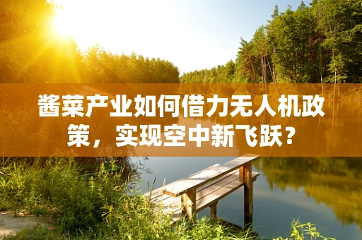 酱菜产业如何借力无人机政策，实现空中新飞跃？