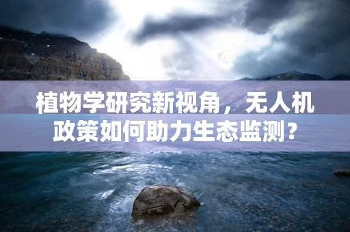 植物学研究新视角，无人机政策如何助力生态监测？
