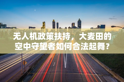 无人机政策扶持，大麦田的空中守望者如何合法起舞？