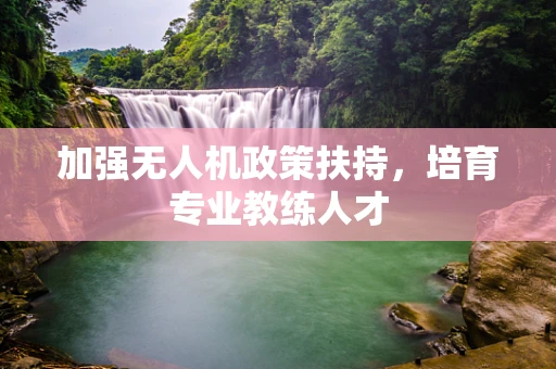 加强无人机政策扶持，培育专业教练人才