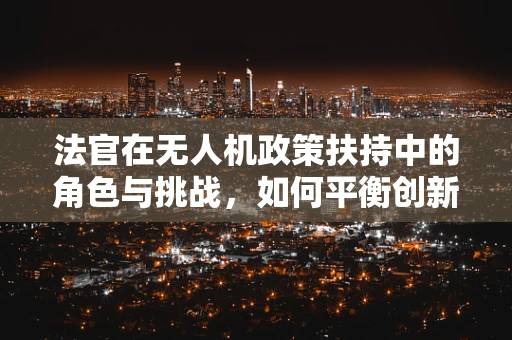 法官在无人机政策扶持中的角色与挑战，如何平衡创新与安全？