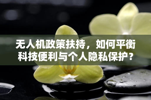 无人机政策扶持，如何平衡科技便利与个人隐私保护？