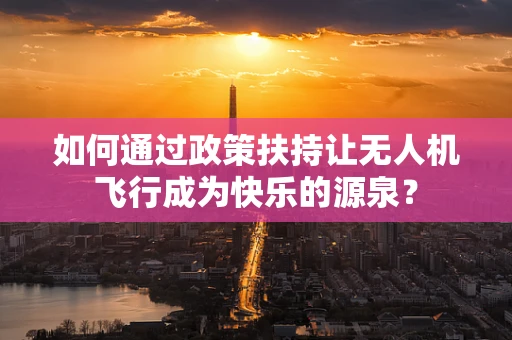 如何通过政策扶持让无人机飞行成为快乐的源泉？