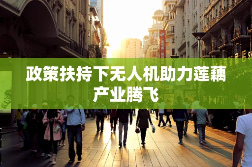 政策扶持下无人机助力莲藕产业腾飞