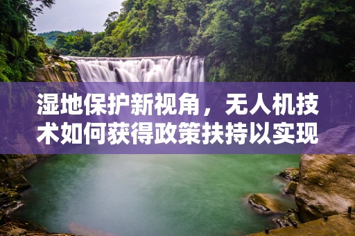 湿地保护新视角，无人机技术如何获得政策扶持以实现精准监测？