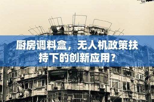 厨房调料盒，无人机政策扶持下的创新应用？