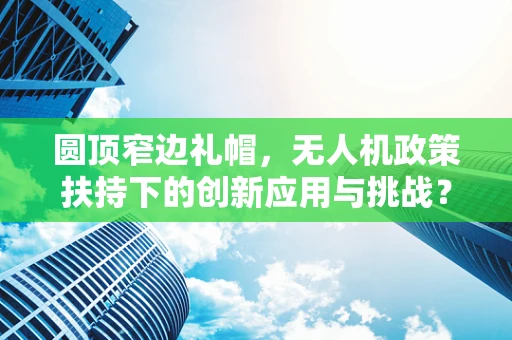 圆顶窄边礼帽，无人机政策扶持下的创新应用与挑战？