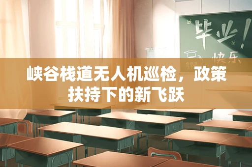 峡谷栈道无人机巡检，政策扶持下的新飞跃