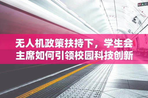 无人机政策扶持下，学生会主席如何引领校园科技创新风潮？