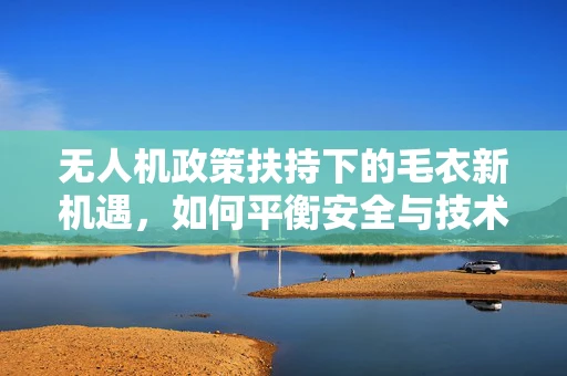 无人机政策扶持下的毛衣新机遇，如何平衡安全与技术创新？