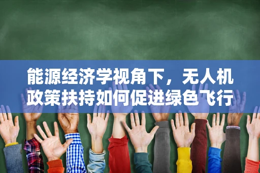 能源经济学视角下，无人机政策扶持如何促进绿色飞行？