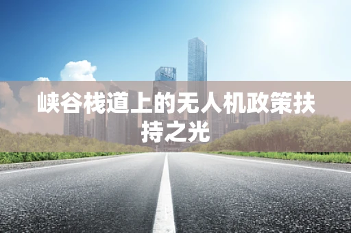 峡谷栈道上的无人机政策扶持之光