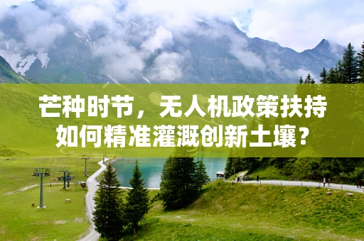 芒种时节，无人机政策扶持如何精准灌溉创新土壤？
