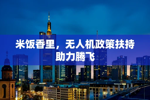 米饭香里，无人机政策扶持助力腾飞