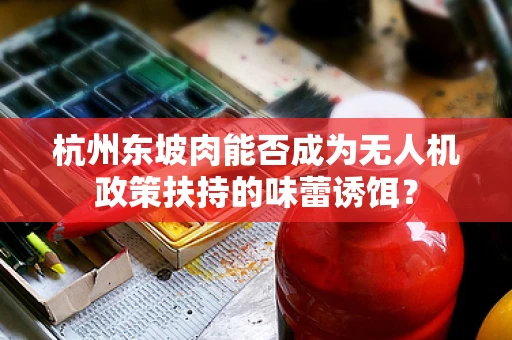 杭州东坡肉能否成为无人机政策扶持的味蕾诱饵？