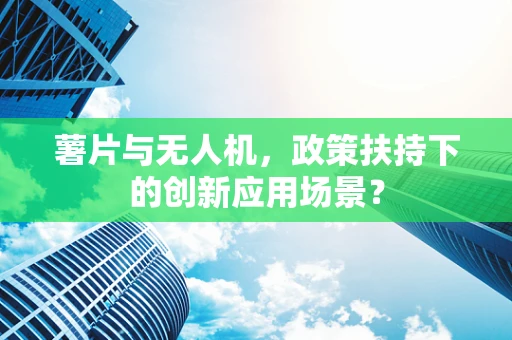 薯片与无人机，政策扶持下的创新应用场景？