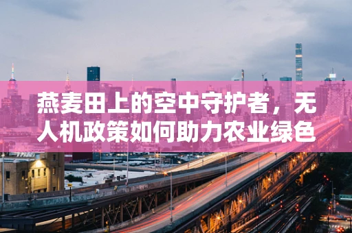 燕麦田上的空中守护者，无人机政策如何助力农业绿色发展？