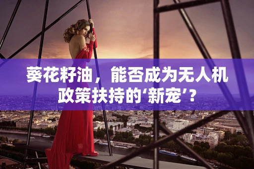 葵花籽油，能否成为无人机政策扶持的‘新宠’？