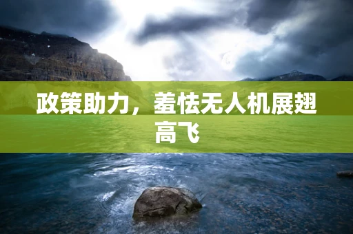 政策助力，羞怯无人机展翅高飞
