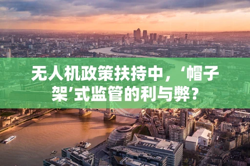 无人机政策扶持中，‘帽子架’式监管的利与弊？