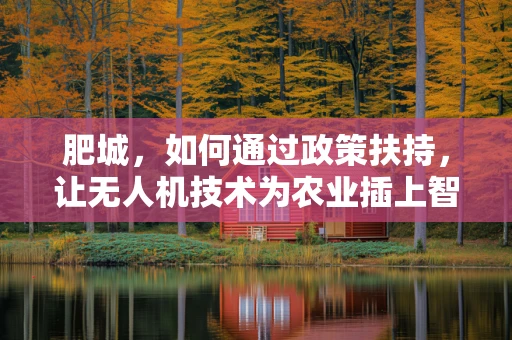 肥城，如何通过政策扶持，让无人机技术为农业插上智慧翅膀？