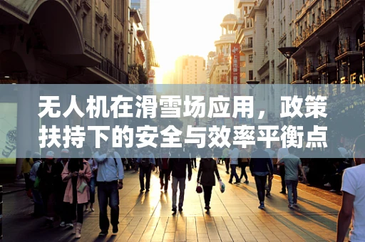 无人机在滑雪场应用，政策扶持下的安全与效率平衡点何在？