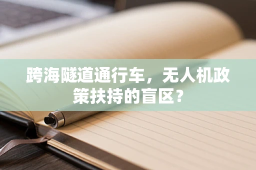 跨海隧道通行车，无人机政策扶持的盲区？