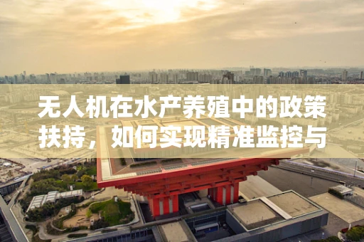 无人机在水产养殖中的政策扶持，如何实现精准监控与高效管理？