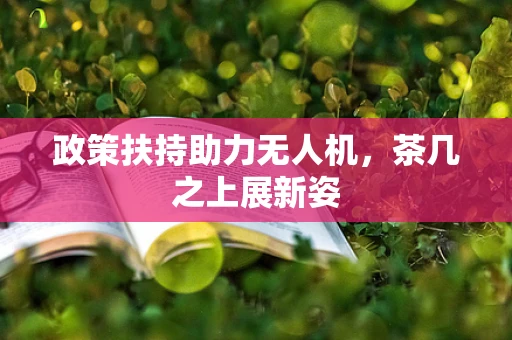 政策扶持助力无人机，茶几之上展新姿