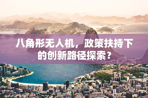 八角形无人机，政策扶持下的创新路径探索？