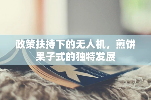政策扶持下的无人机，煎饼果子式的独特发展