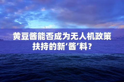 黄豆酱能否成为无人机政策扶持的新‘酱’料？