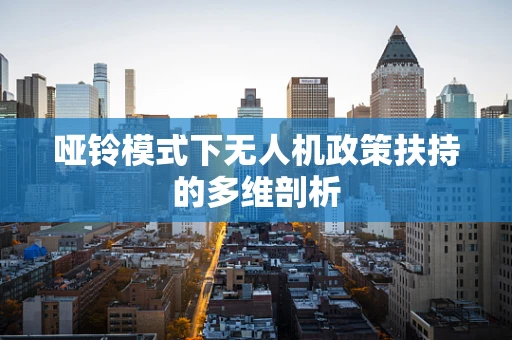 哑铃模式下无人机政策扶持的多维剖析