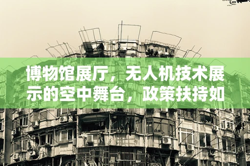 博物馆展厅，无人机技术展示的空中舞台，政策扶持如何精准落地？