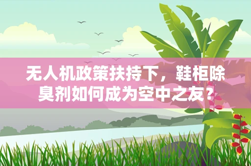 无人机政策扶持下，鞋柜除臭剂如何成为空中之友？