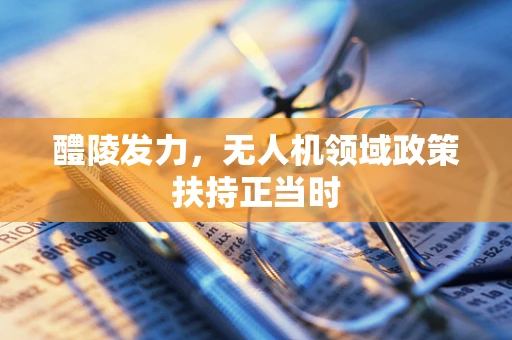 醴陵发力，无人机领域政策扶持正当时