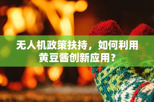 无人机政策扶持，如何利用黄豆酱创新应用？