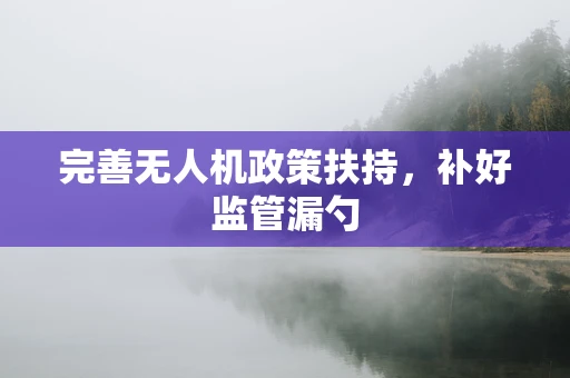 完善无人机政策扶持，补好监管漏勺