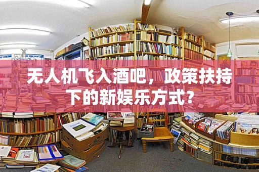 无人机飞入酒吧，政策扶持下的新娱乐方式？