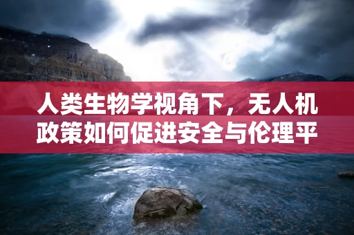 人类生物学视角下，无人机政策如何促进安全与伦理平衡？