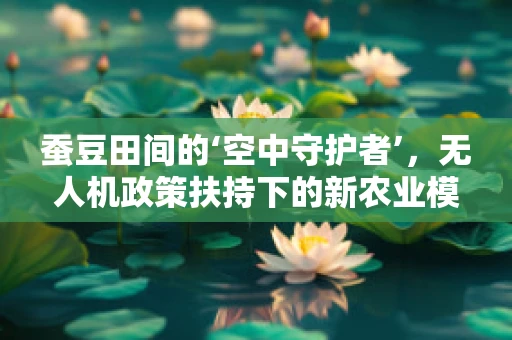 蚕豆田间的‘空中守护者’，无人机政策扶持下的新农业模式？