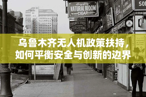 乌鲁木齐无人机政策扶持，如何平衡安全与创新的边界？