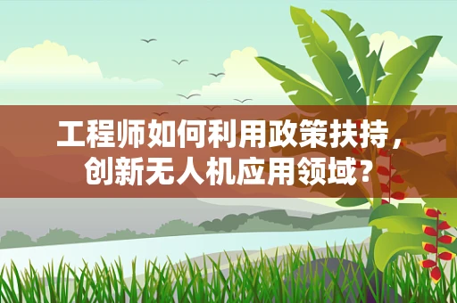 工程师如何利用政策扶持，创新无人机应用领域？