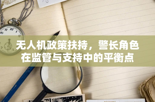 无人机政策扶持，警长角色在监管与支持中的平衡点