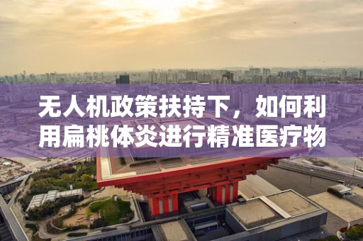 无人机政策扶持下，如何利用扁桃体炎进行精准医疗物资配送？
