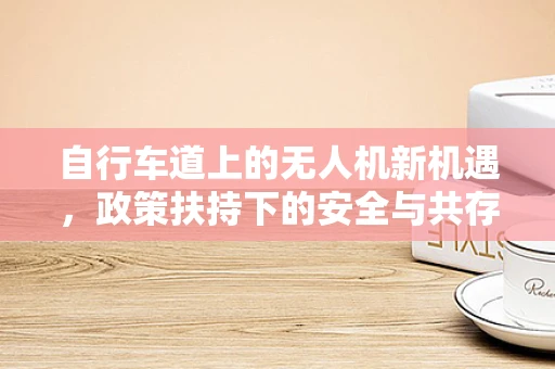 自行车道上的无人机新机遇，政策扶持下的安全与共存挑战