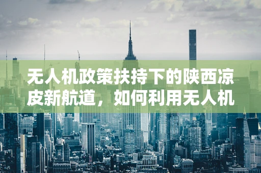 无人机政策扶持下的陕西凉皮新航道，如何利用无人机配送提升地方特色美食的可达性？